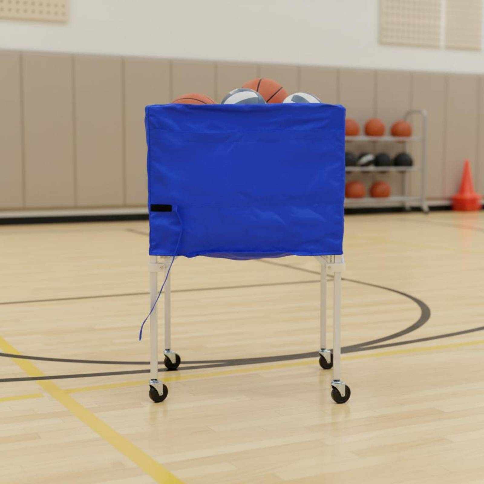 Foldable Ball Trolley Multi-Sp - Gym Ball 评论和价格