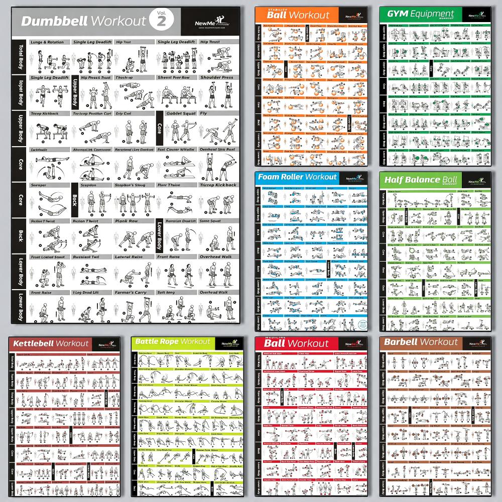 fitness Pilates Training Chart - Sports Equipment Poster 评论和价格
