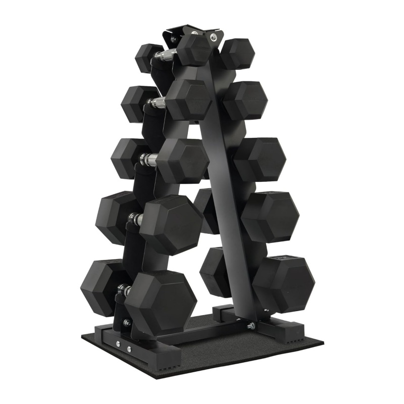 Home Gym Exercise Strength Tra - Dumbbell Set 评论和价格