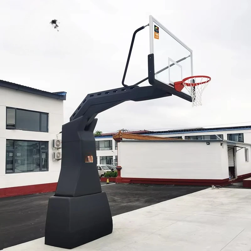 FIBA Approved Professional Bas - Basketball Hoop 评论和价格