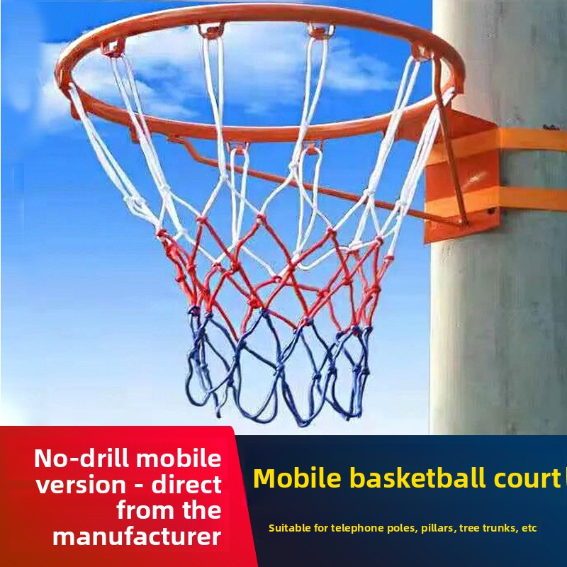 Household Standard Wall-Mounte - Basketball Hoop 评论和价格